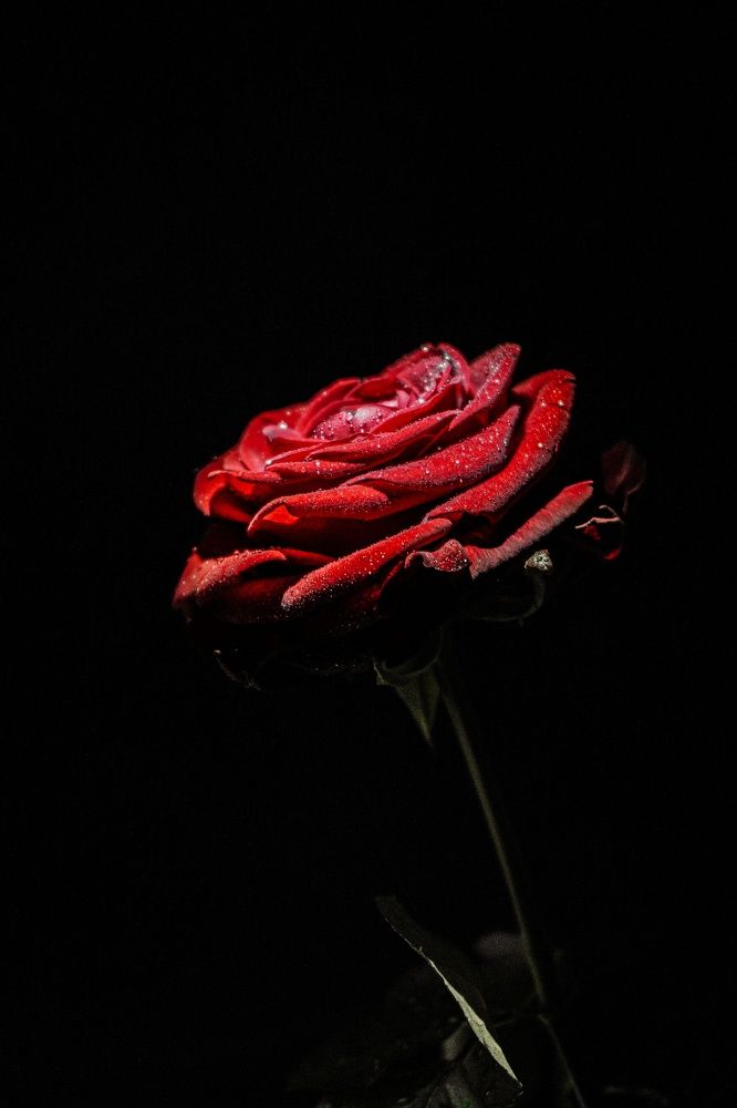 Одиночество