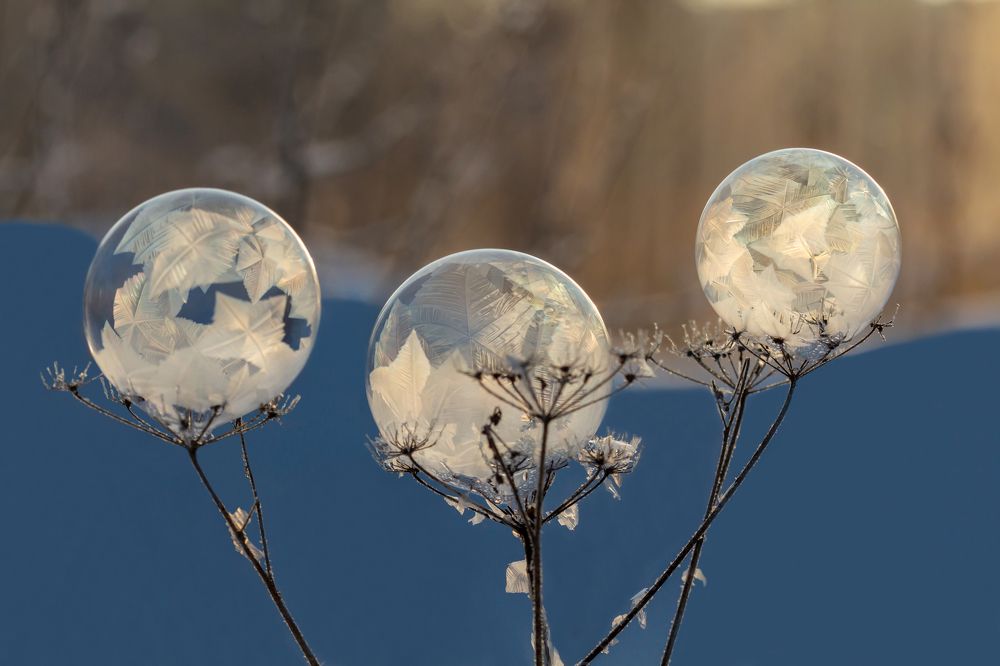 Фотография автора Andrey Pristyazhnyuk