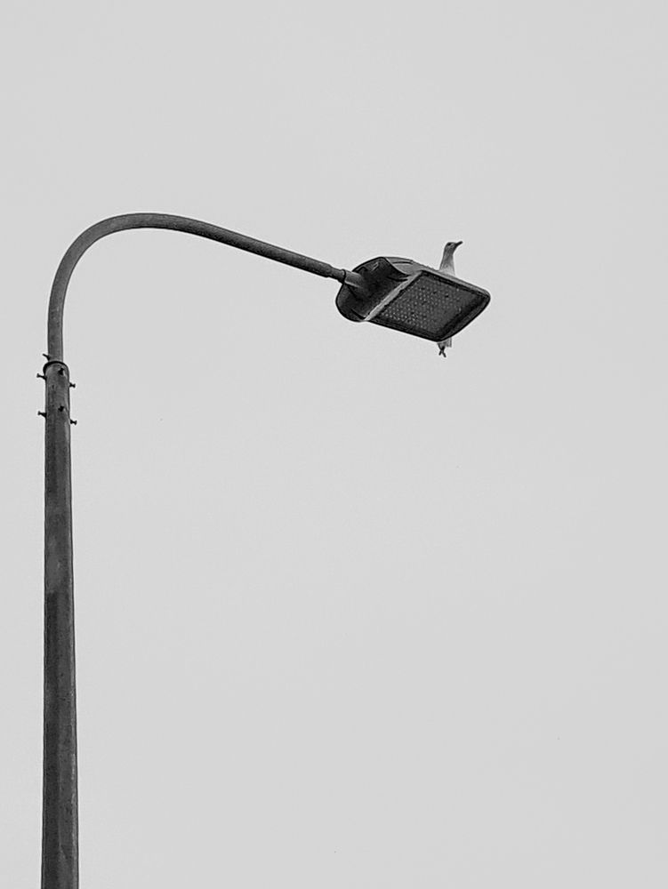 Photograph by Лариса Когтева