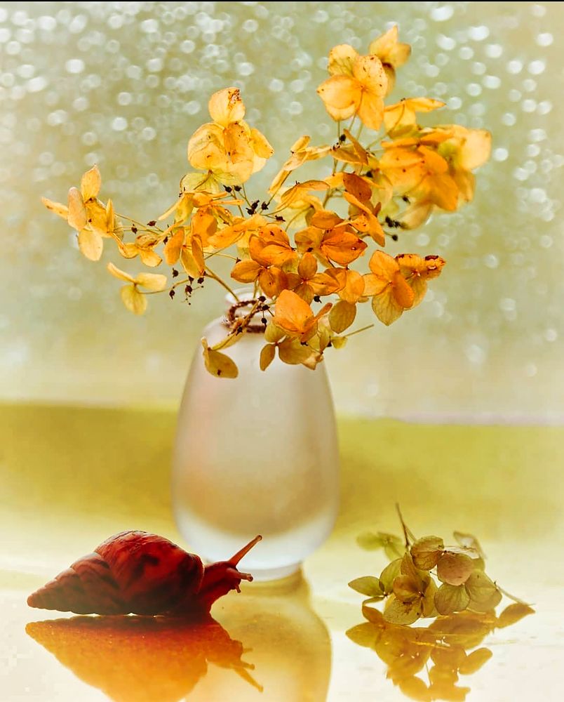 Photograph by Людмила ЧЕРНИКОВА