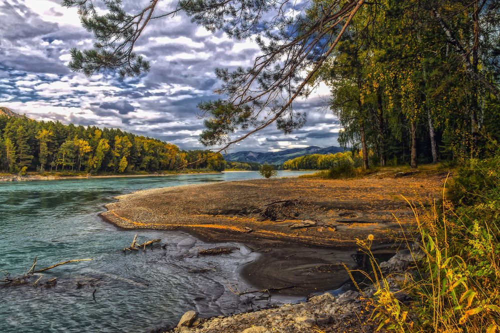 Очарование осени .