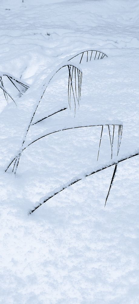 Фотография автора Наталья Королева