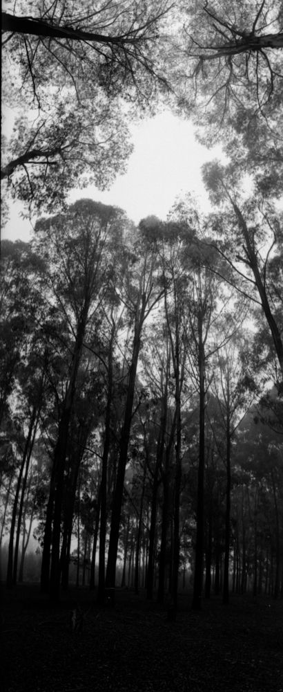 Photograph by Andrew Becker