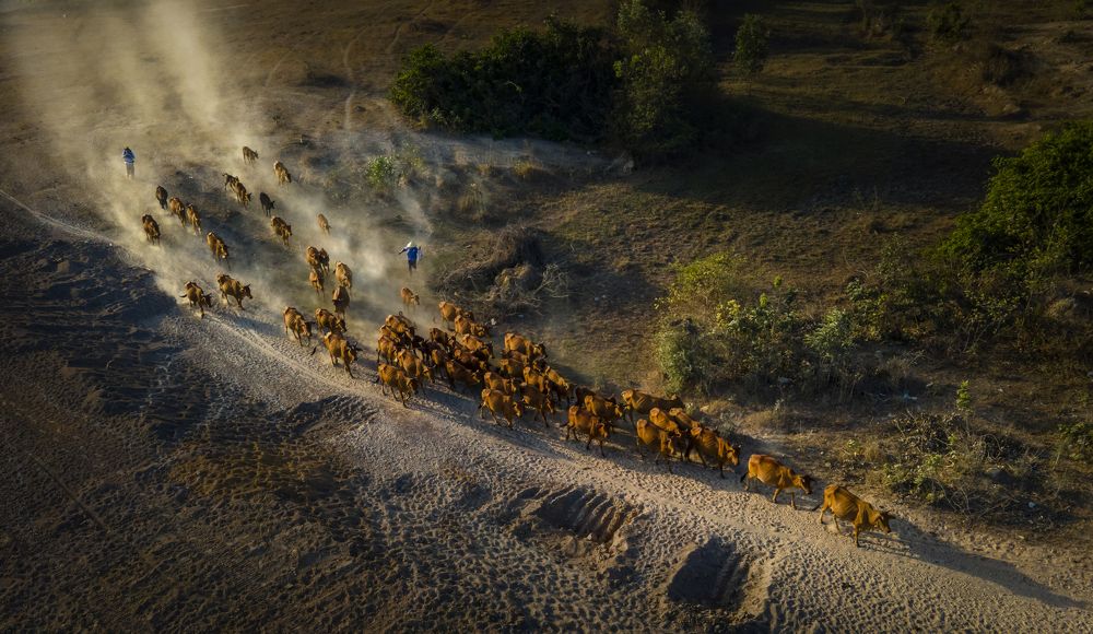 Trên đường về