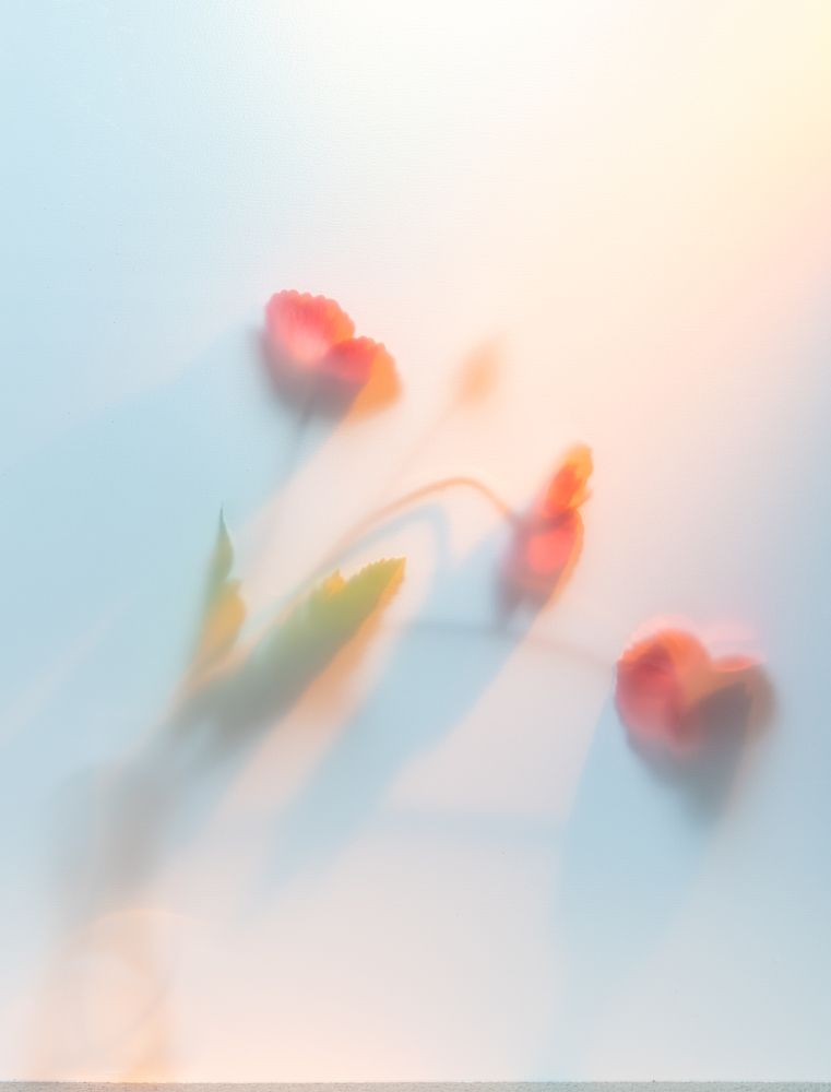 Photograph by Ольга Ильина