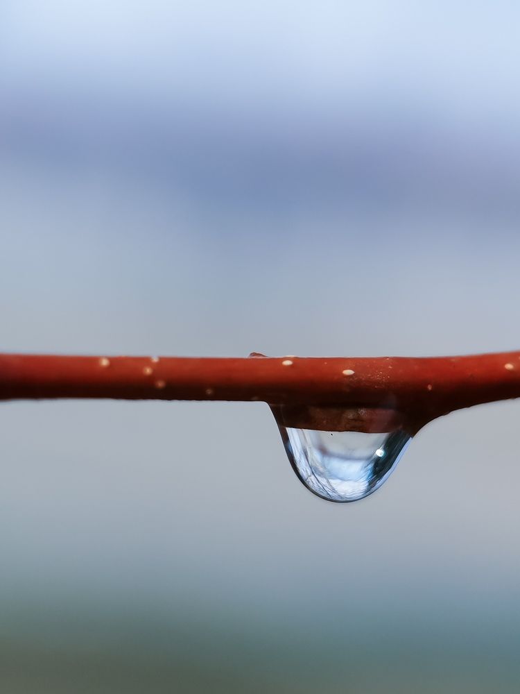 Photograph by Юлия Ледовская