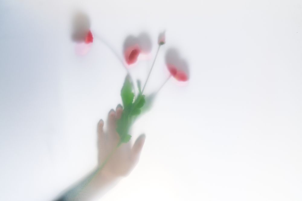 Photograph by Ольга Ильина