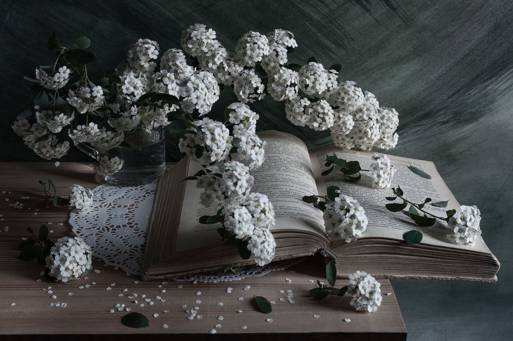 Photograph by Владимир Тузлай