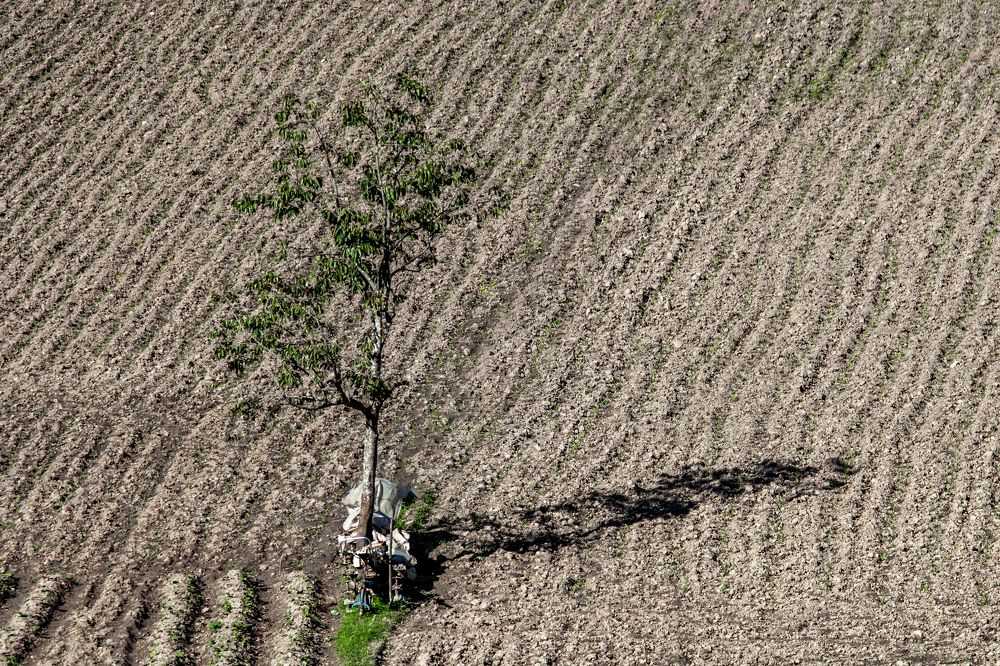 Photograph by Ân Đỗ trọng hoài