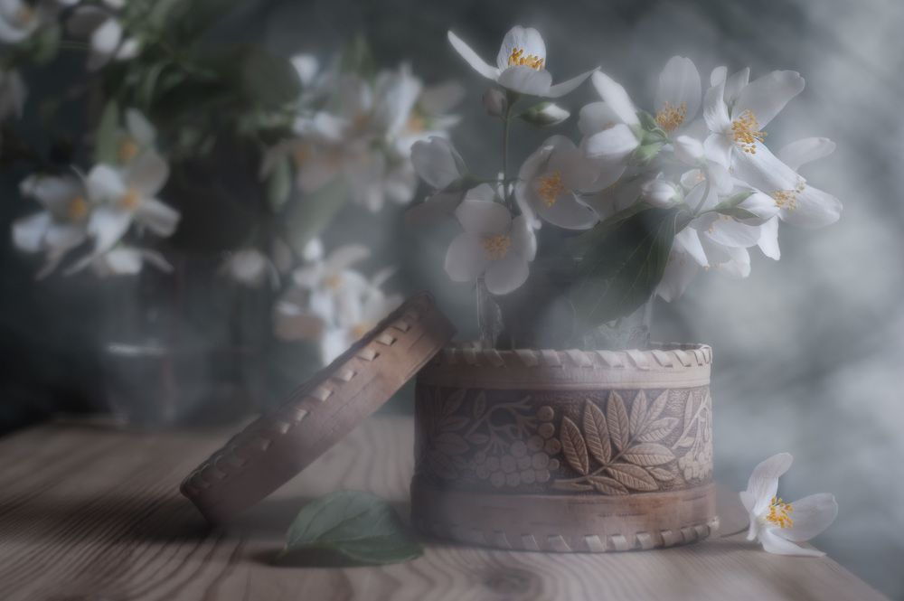 Photograph by Владимир Тузлай