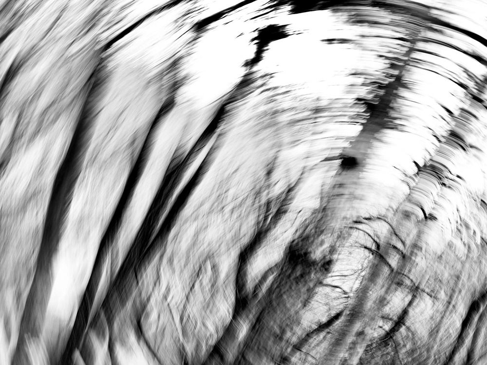 Photograph by Лейла Прощина