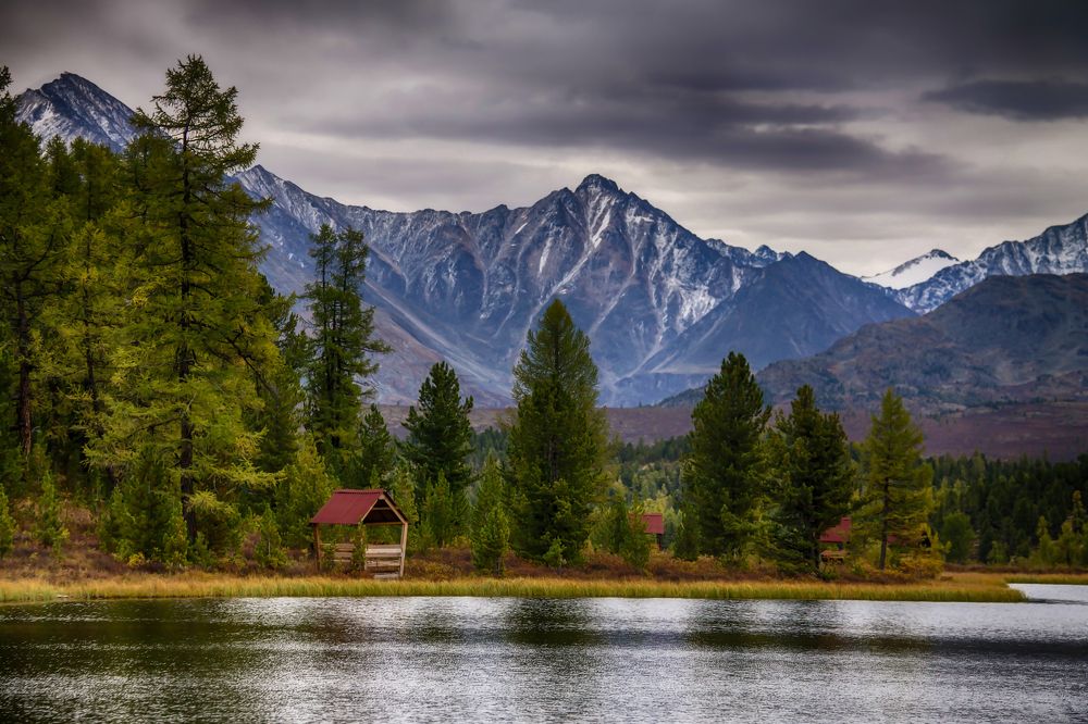 Объятия тишины  ...