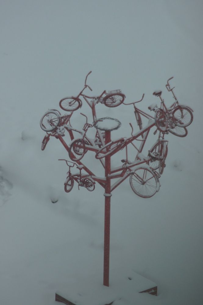 Photograph by Ирина Федичева