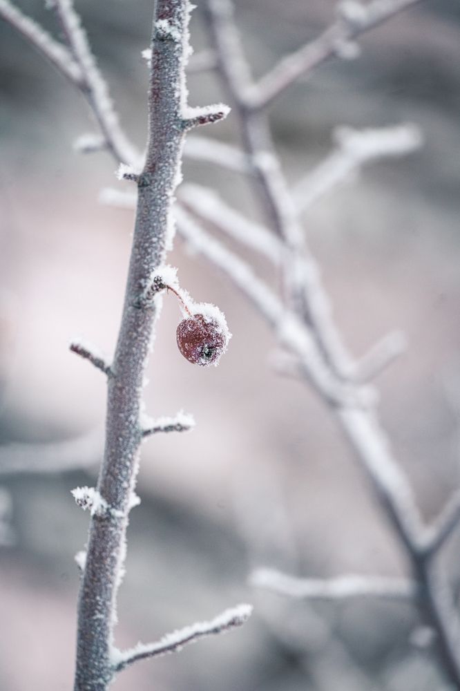 Photograph by Ольга Рачилова