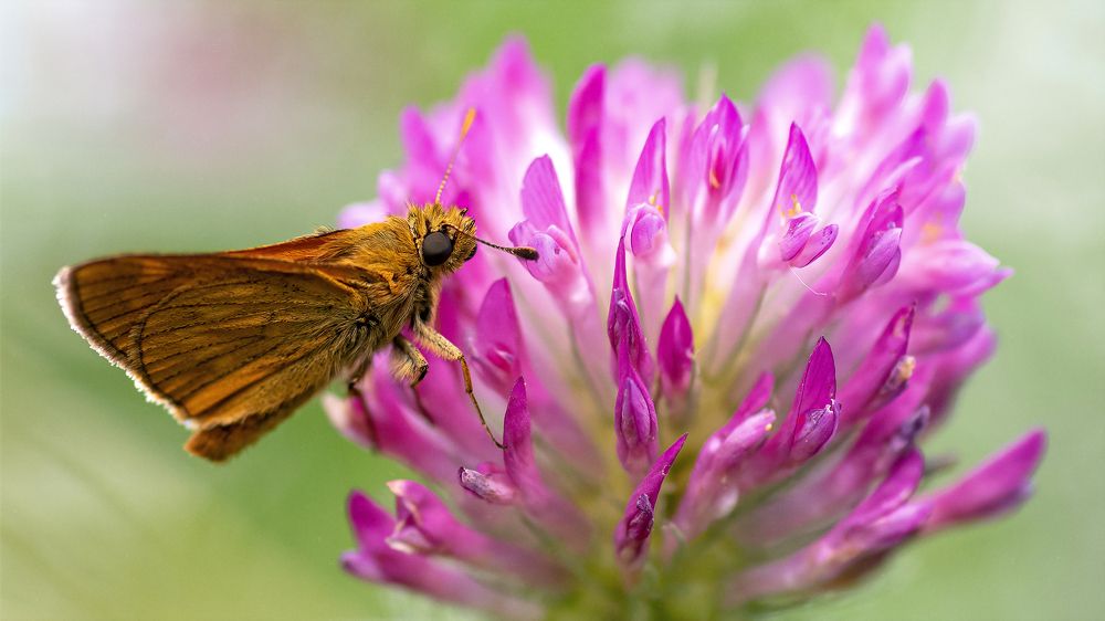 Photograph by Константин Власов