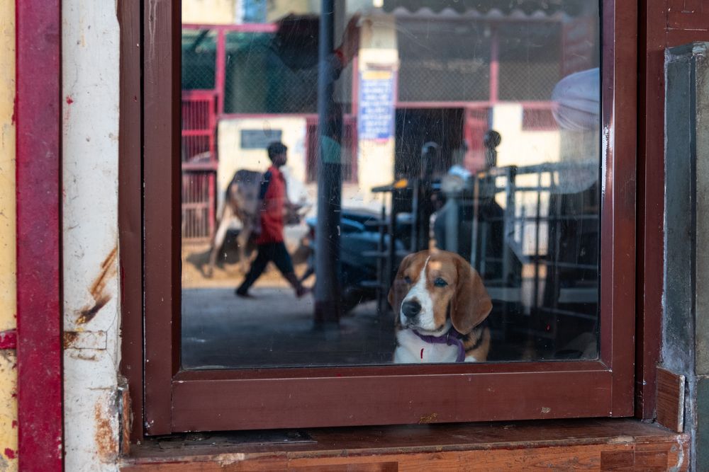 Photograph by Chetan Verma