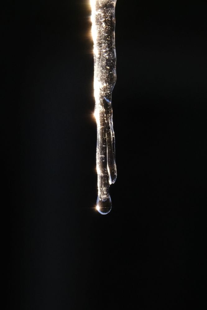 Фотография автора Александр Высоцкий