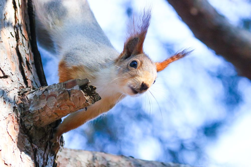 Photograph by Мария Мостипака
