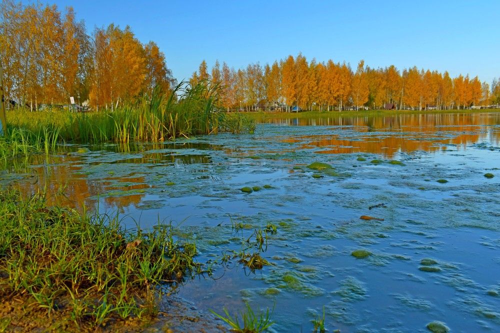 Photograph by Валерий Талейко