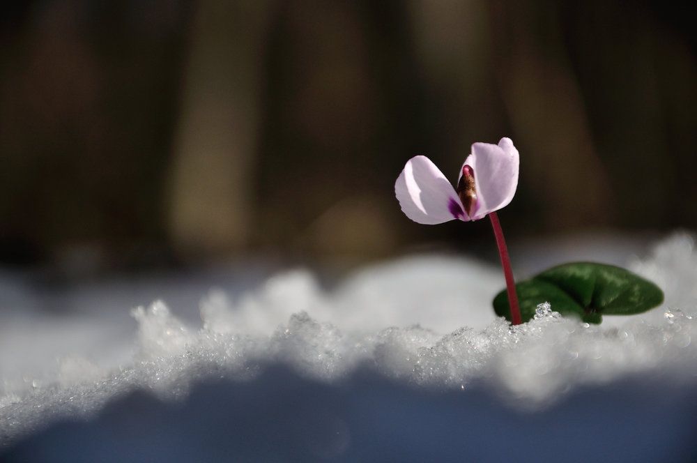 Фотография автора Олег Константинов