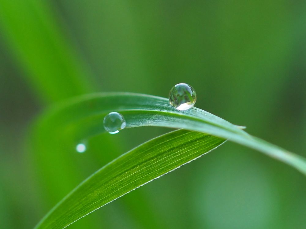 Photograph by Елена Харитонова