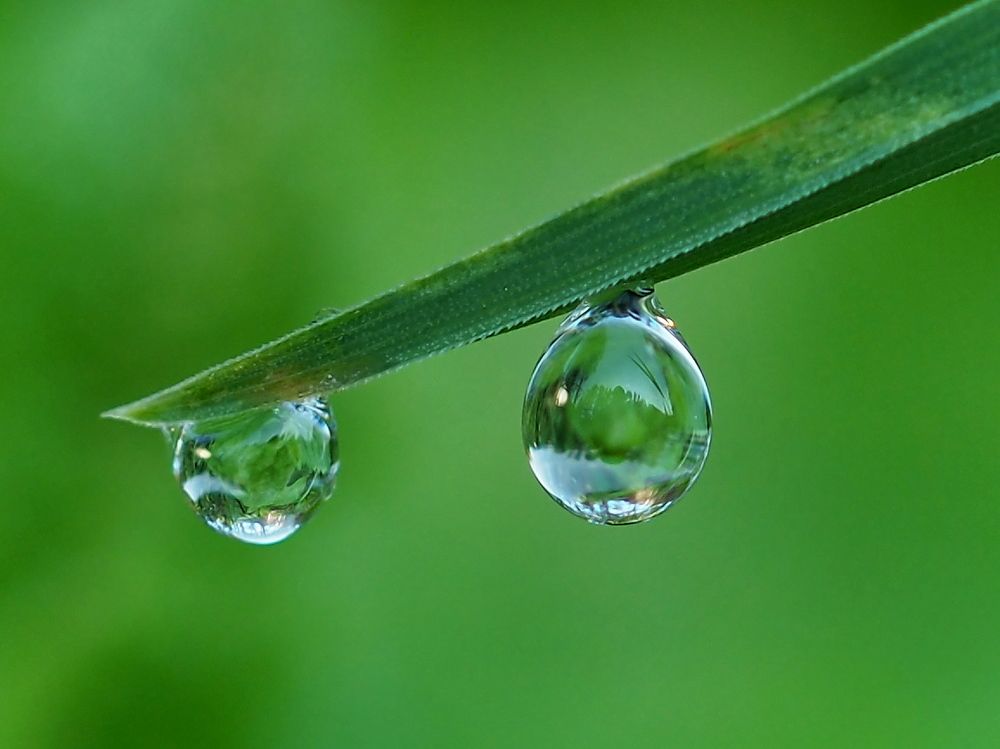 Photograph by Елена Харитонова