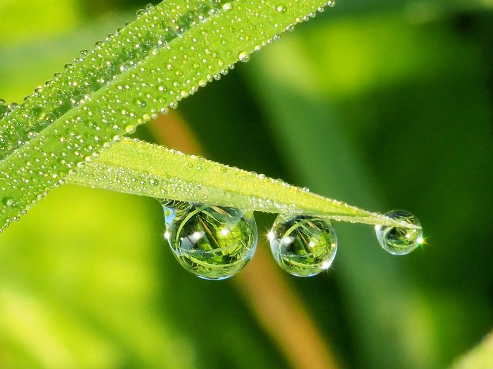 Photograph by Елена Харитонова