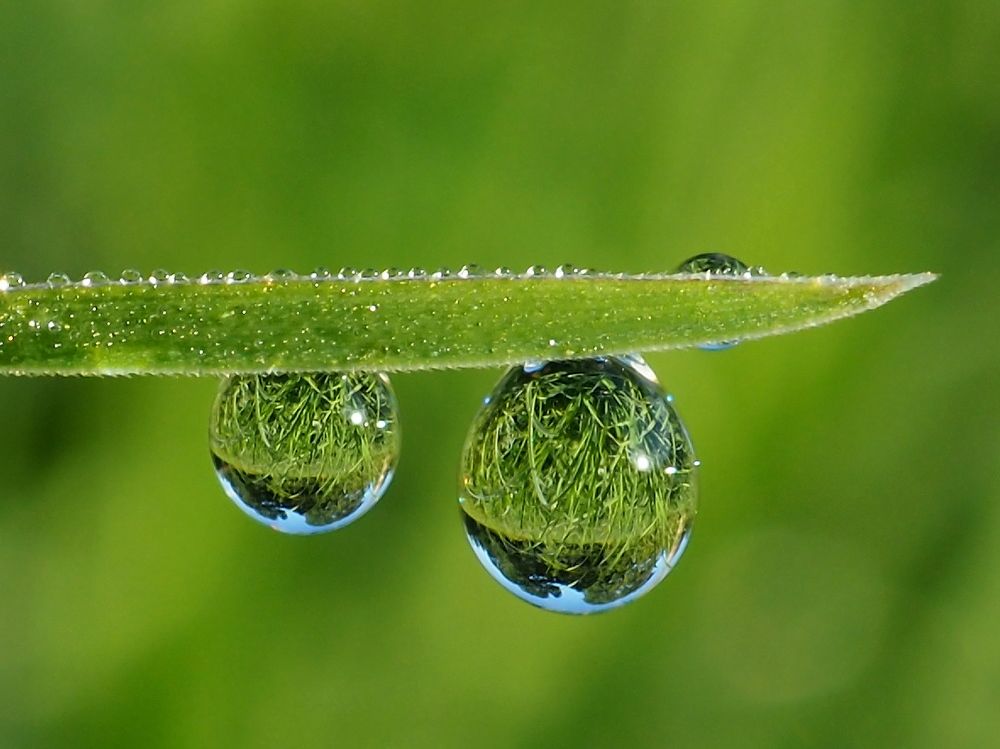 Photograph by Елена Харитонова