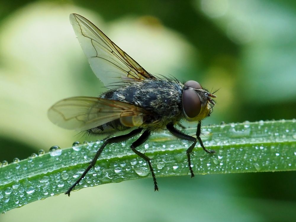 Photograph by Елена Харитонова