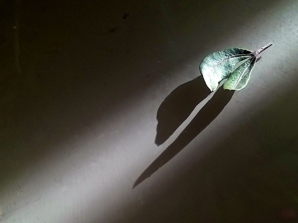 Photograph by Лада Денисова