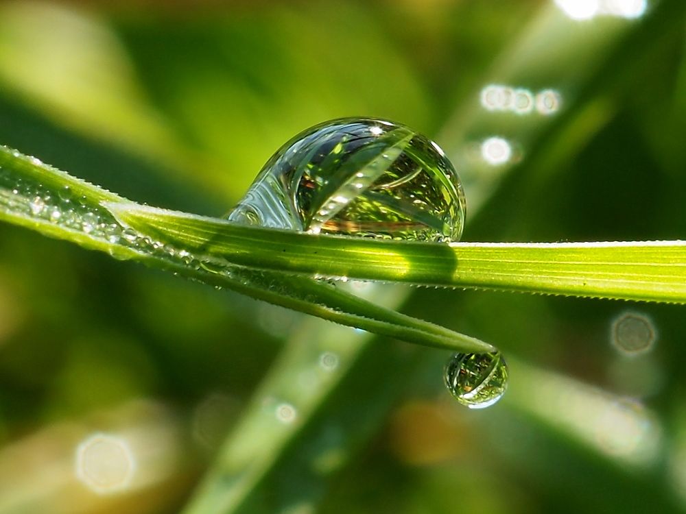 Photograph by Елена Харитонова