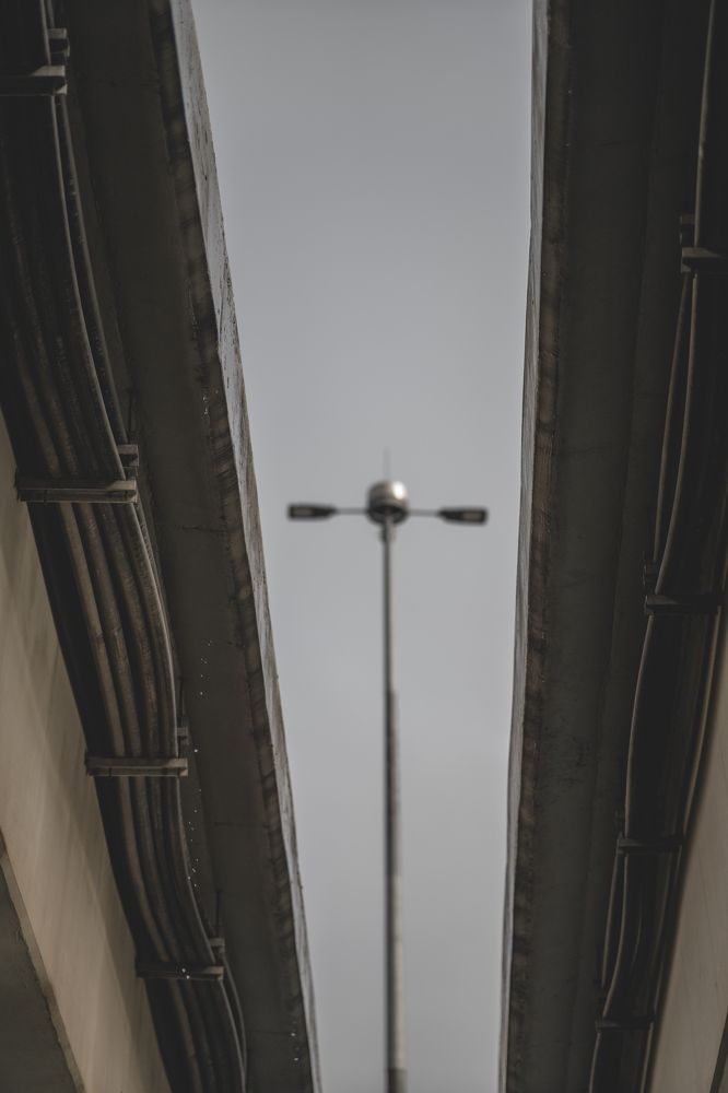 Photograph by Ярослав Зубков