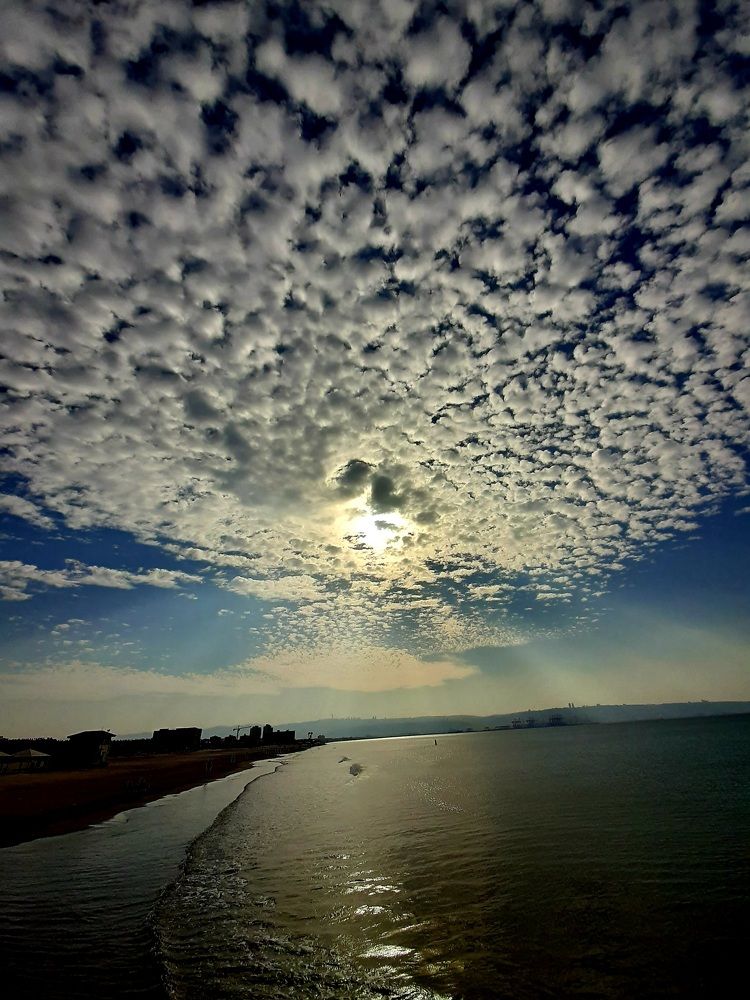 Photograph by virgilija motejunaite