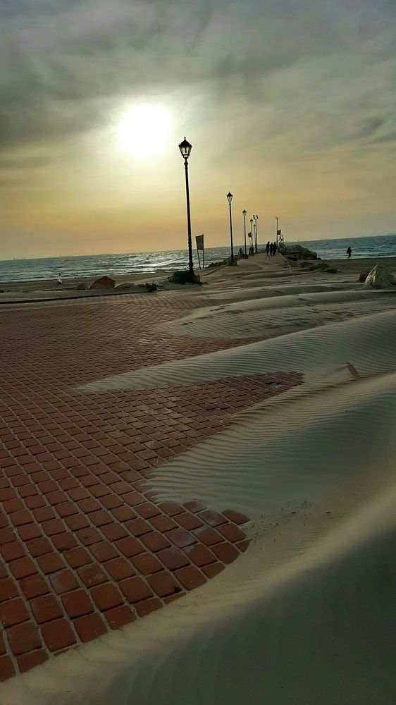 Photograph by virgilija motejunaite