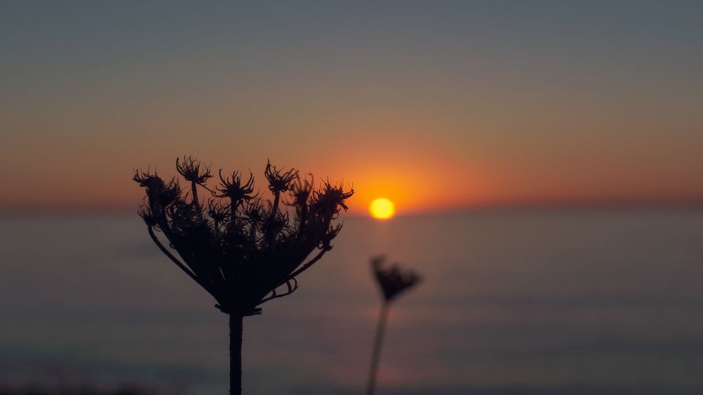 Photograph by Roberto