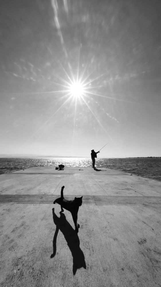 Photograph by Eylem Barış