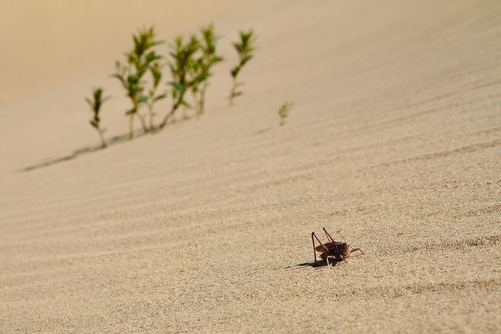 Photograph by Олег Фокин