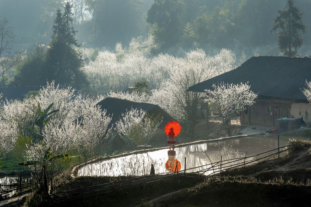 Photograph by Ngoc Vu Bao