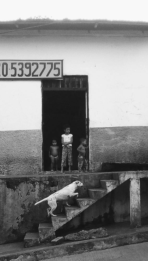 EN LA 92775.PARALELA