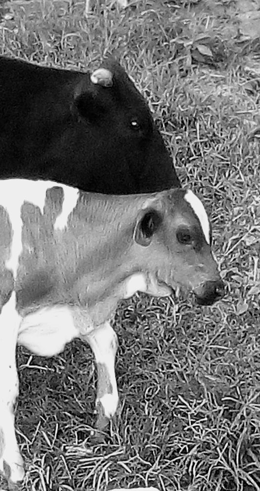 Photograph by Maria Claudia Salcedo