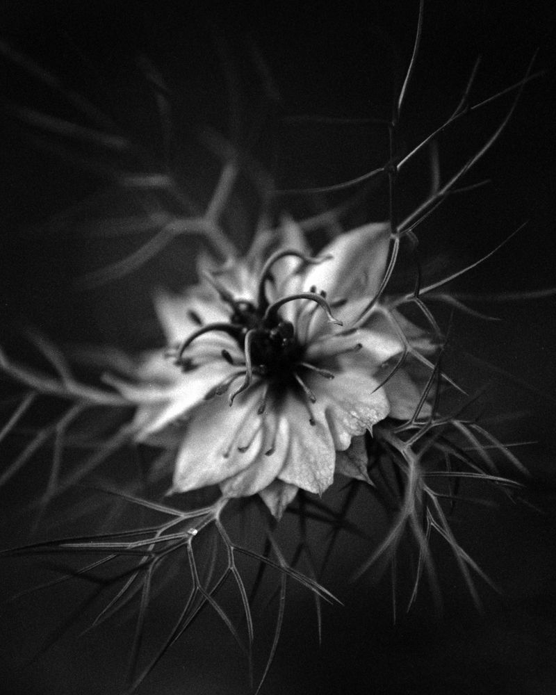 Photograph by Gonçalo Fernandes