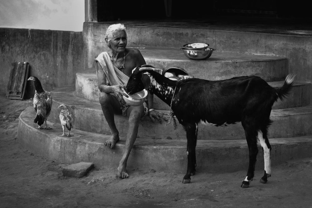 Photograph by VENKATA ARUN KUMAR SOMAYAJULA