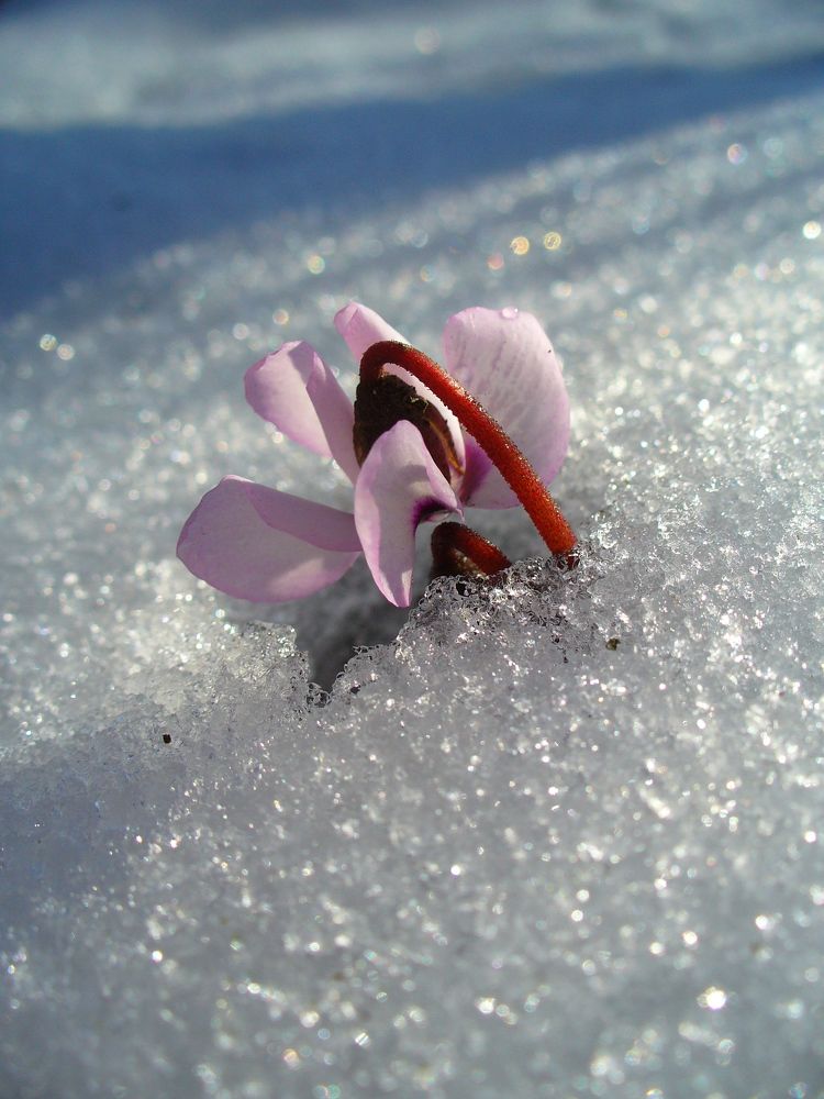 Фотография автора Олег Константинов