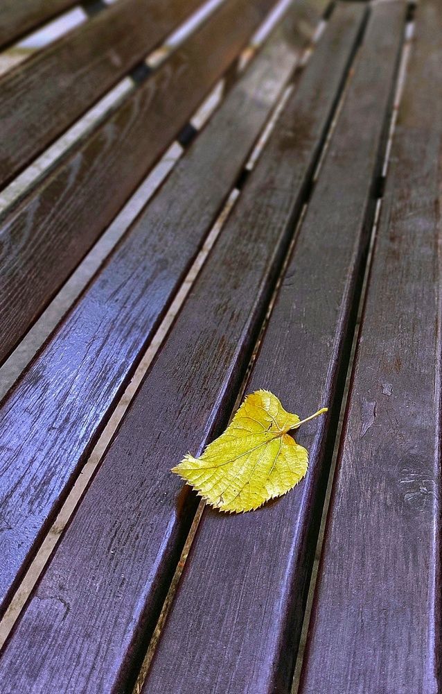 Photograph by Алла Холодова