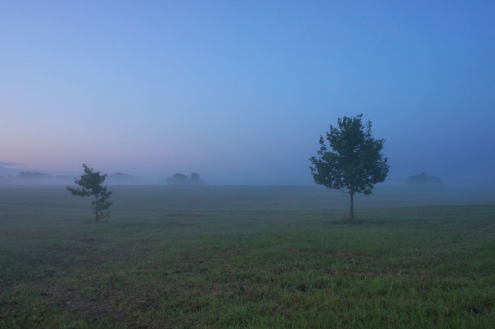 Photograph by Igor Andreev