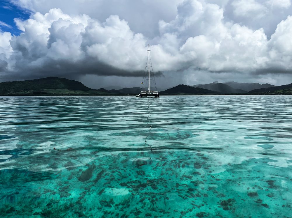 Photograph by Christine ECHEVET-ADAM de VILLIERS