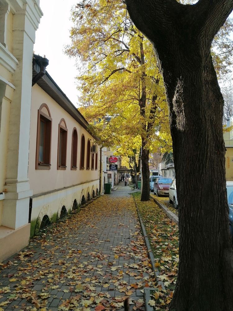 Photograph by Татьяна Чарушина