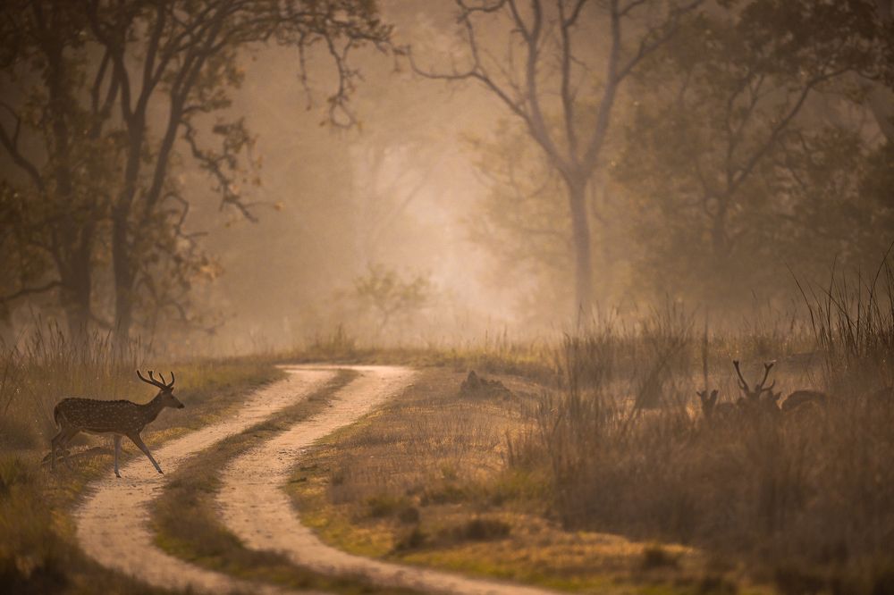 Photograph by Srikanth Santhinathan