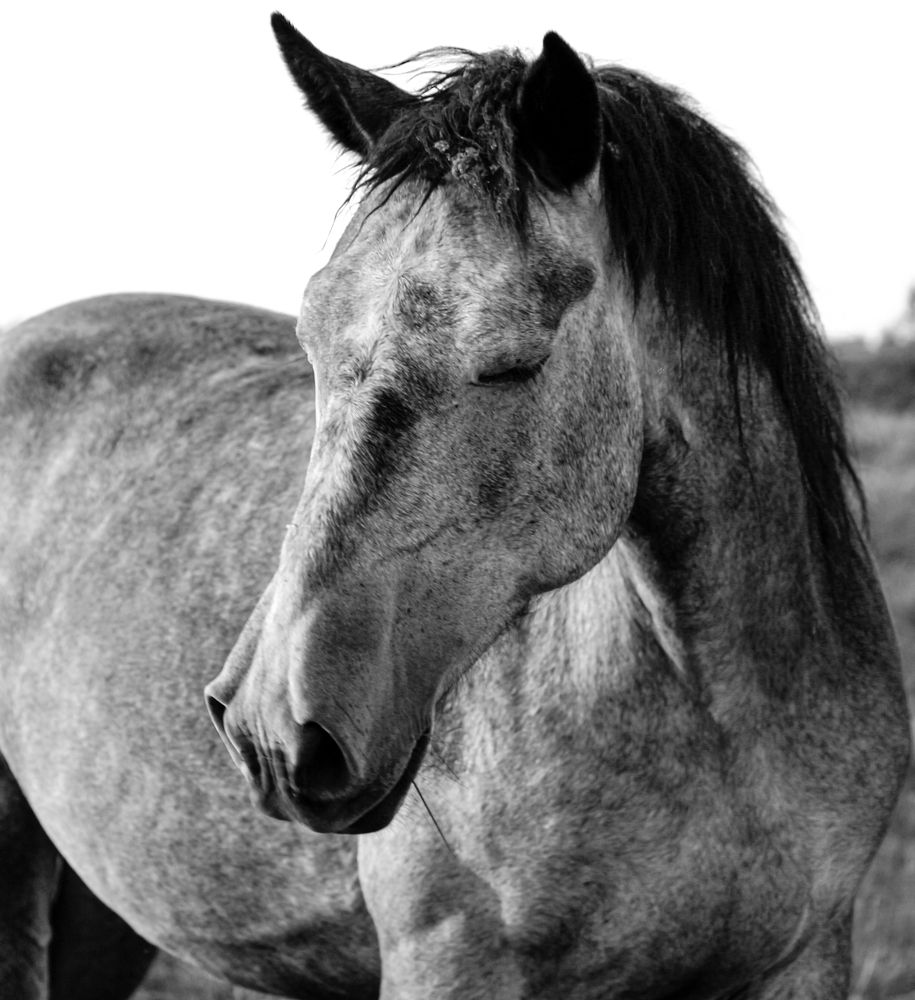 Photograph by Елена Федорова