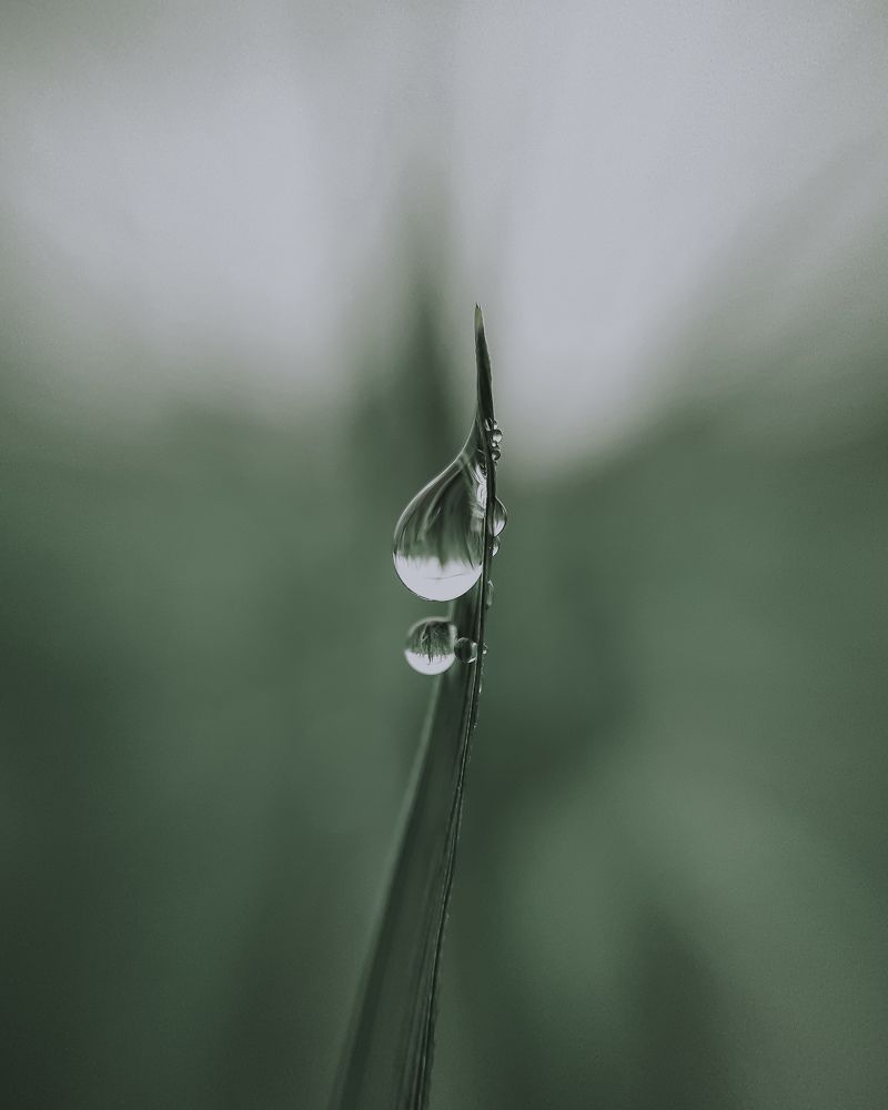 Photograph by Manish Kumar